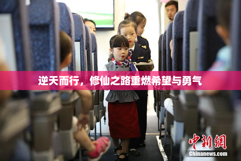 逆天而行，修仙之路重燃希望与勇气