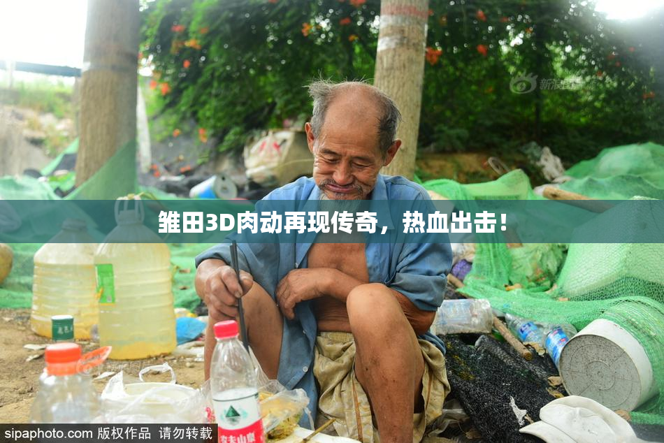 雏田3D肉动再现传奇，热血出击！