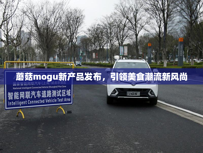 蘑菇mogu新产品发布，引领美食潮流新风尚