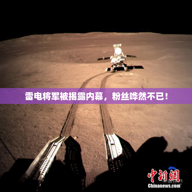雷电将军被揭露内幕，粉丝哗然不已！