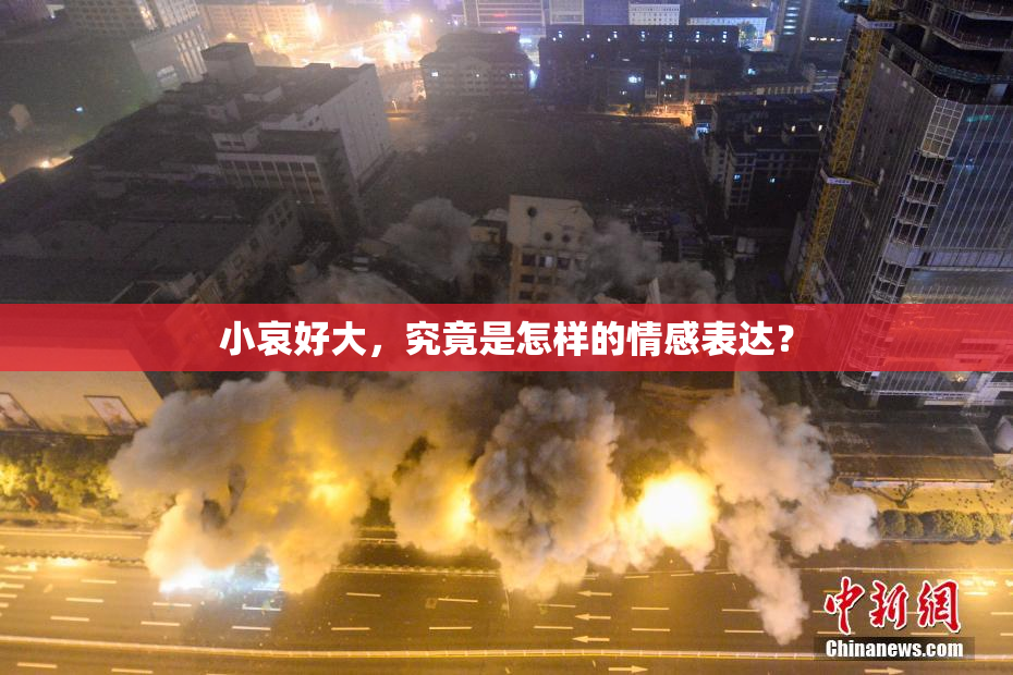 小哀好大，究竟是怎样的情感表达？
