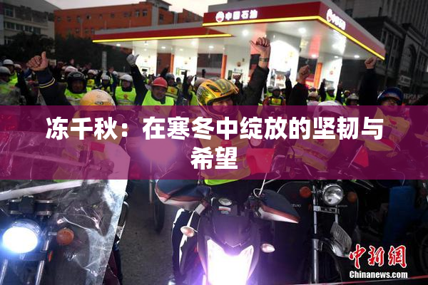 冻千秋：在寒冬中绽放的坚韧与希望