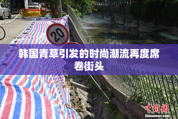 韩国青草引发的时尚潮流再度席卷街头