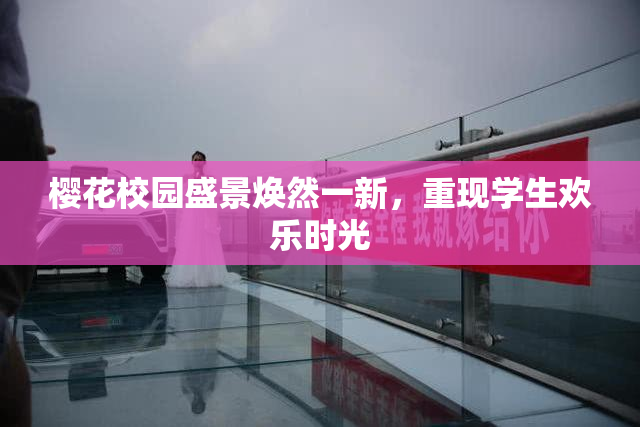 樱花校园盛景焕然一新，重现学生欢乐时光