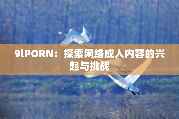 9lPORN：探索网络成人内容的兴起与挑战