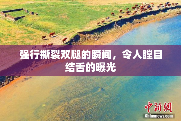 强行撕裂双腿的瞬间，令人瞠目结舌的曝光
