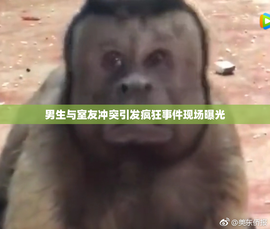 男生与室友冲突引发疯狂事件现场曝光