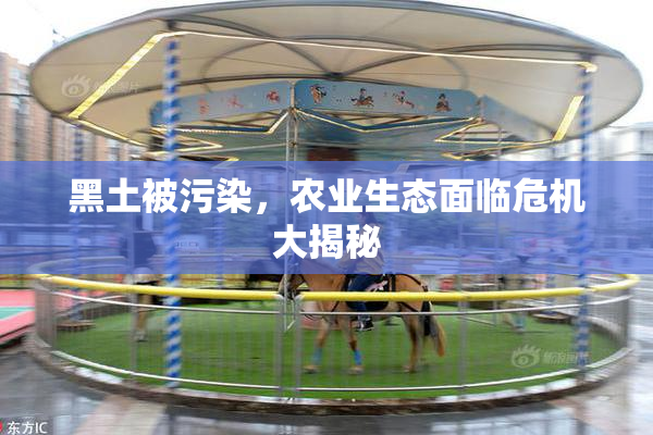 黑土被污染，农业生态面临危机大揭秘