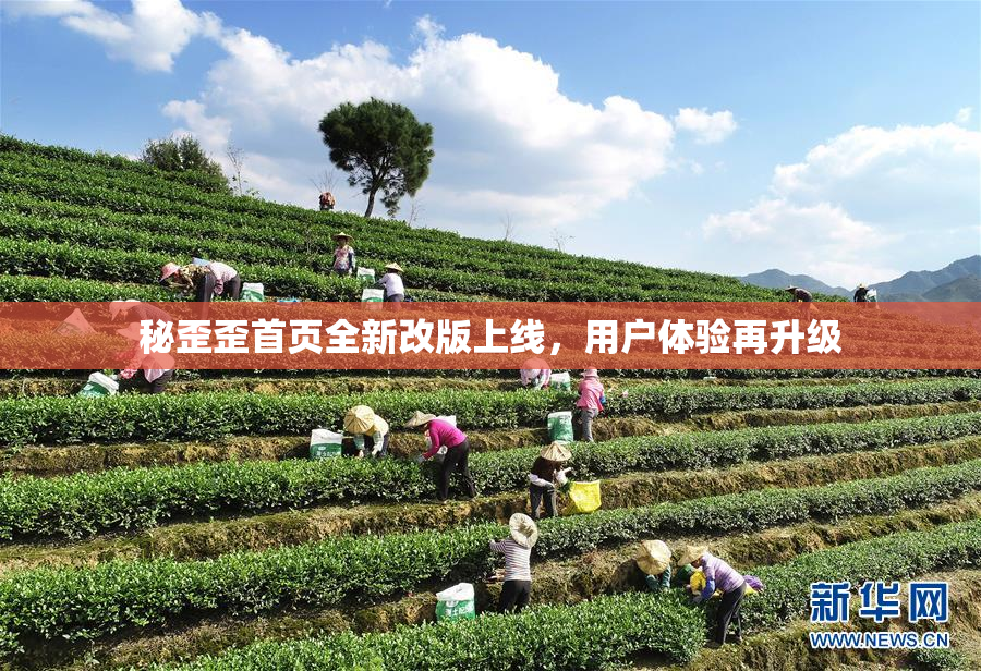 秘歪歪首页全新改版上线，用户体验再升级