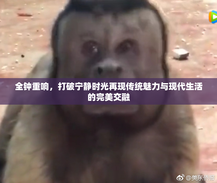 全钟重响，打破宁静时光再现传统魅力与现代生活的完美交融