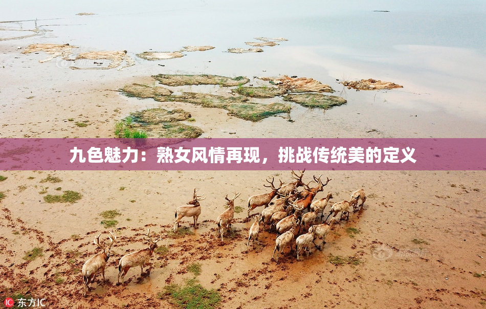 九色魅力：熟女风情再现，挑战传统美的定义