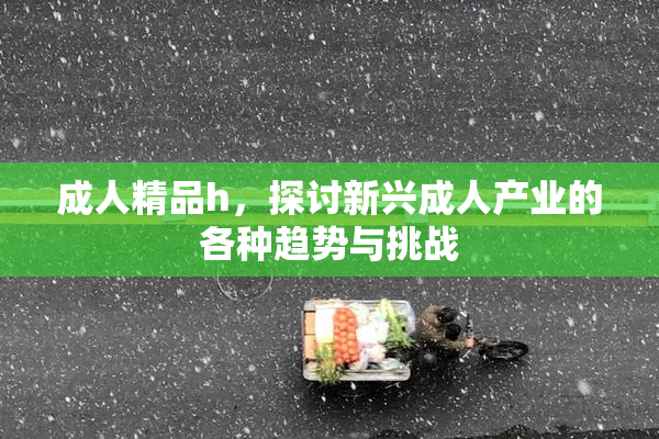 成人精品h，探讨新兴成人产业的各种趋势与挑战