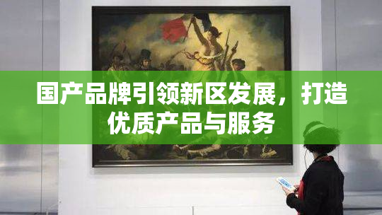 国产品牌引领新区发展，打造优质产品与服务