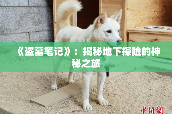 《盗墓笔记》：揭秘地下探险的神秘之旅
