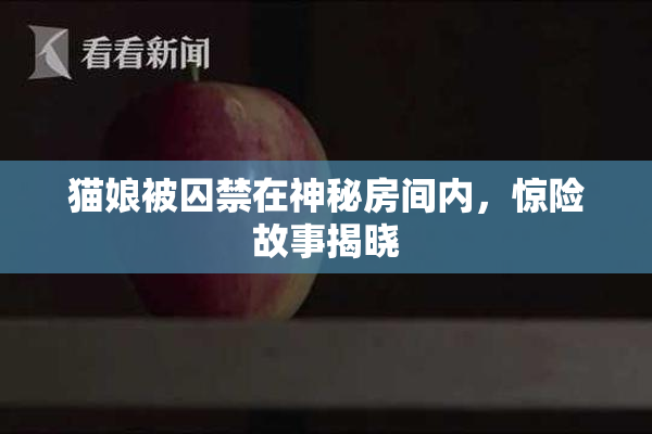 猫娘被囚禁在神秘房间内，惊险故事揭晓