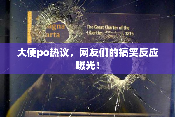 大便po热议，网友们的搞笑反应曝光！