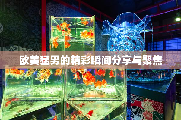 欧美猛男的精彩瞬间分享与聚焦