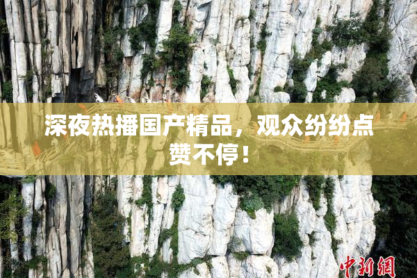 深夜热播国产精品，观众纷纷点赞不停！