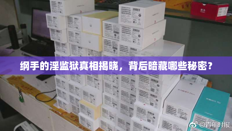 纲手的淫监狱真相揭晓，背后暗藏哪些秘密？