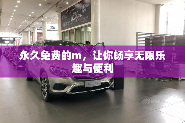 永久免费的m，让你畅享无限乐趣与便利