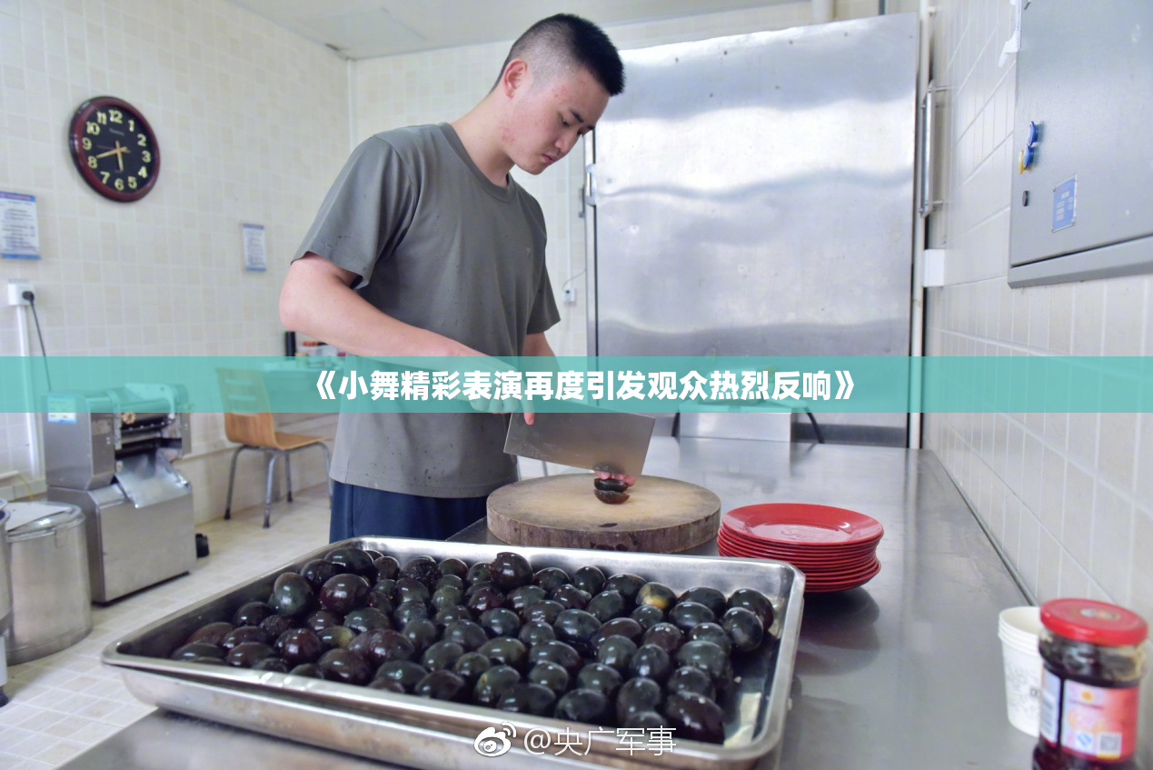 《小舞精彩表演再度引发观众热烈反响》