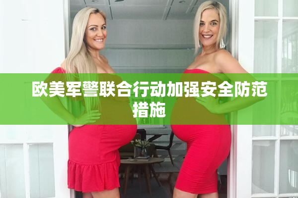 欧美军警联合行动加强安全防范措施