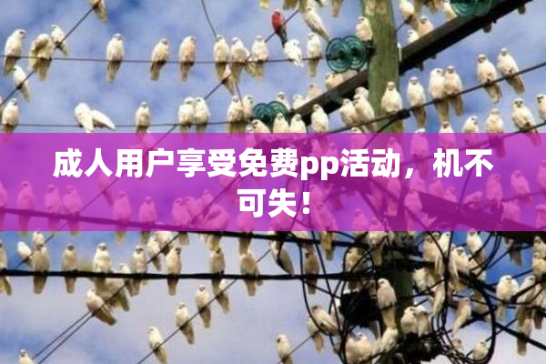成人用户享受免费pp活动，机不可失！