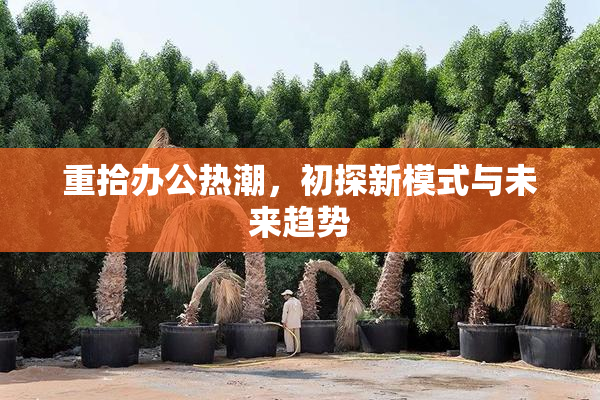 重拾办公热潮，初探新模式与未来趋势