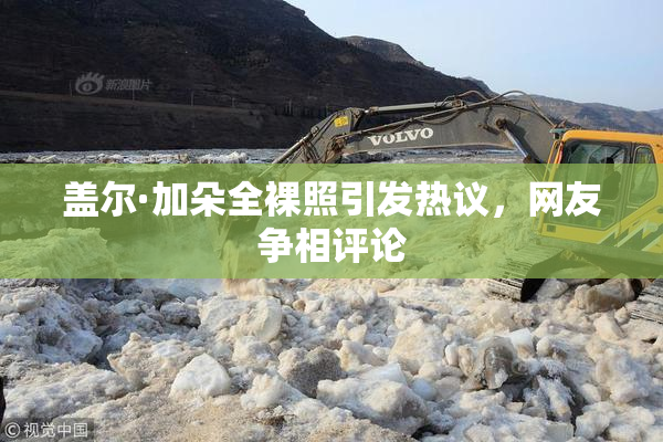 盖尔·加朵全裸照引发热议，网友争相评论