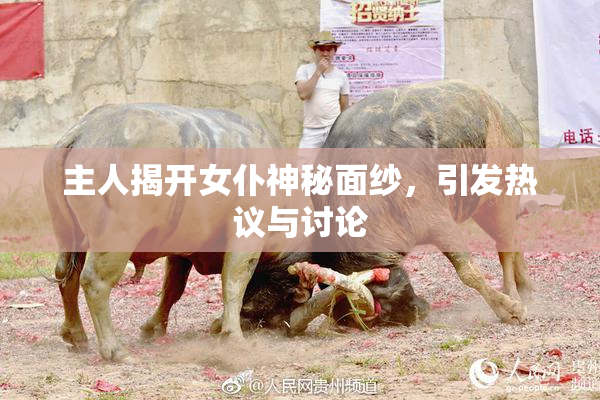 主人揭开女仆神秘面纱，引发热议与讨论