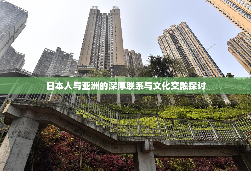 日本人与亚洲的深厚联系与文化交融探讨