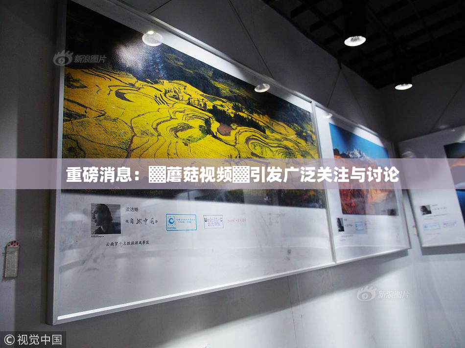 重磅消息：▓蘑菇视频▓引发广泛关注与讨论