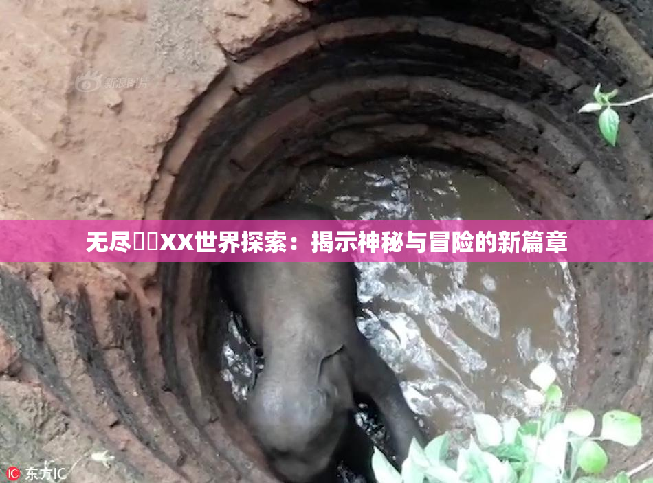 无尽❌‌XX世界探索：揭示神秘与冒险的新篇章