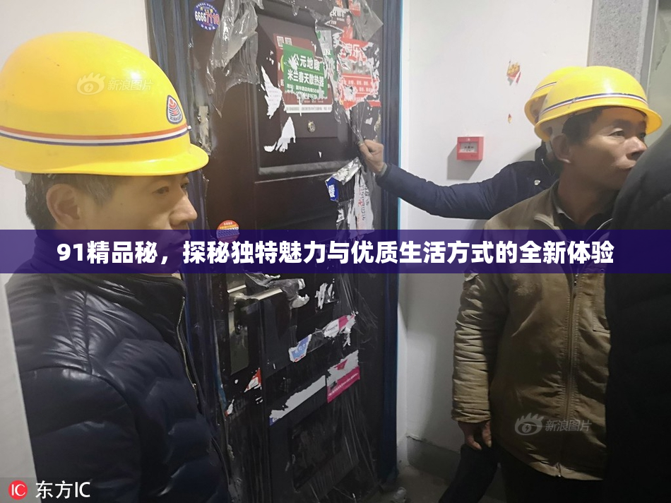 91精品秘，探秘独特魅力与优质生活方式的全新体验