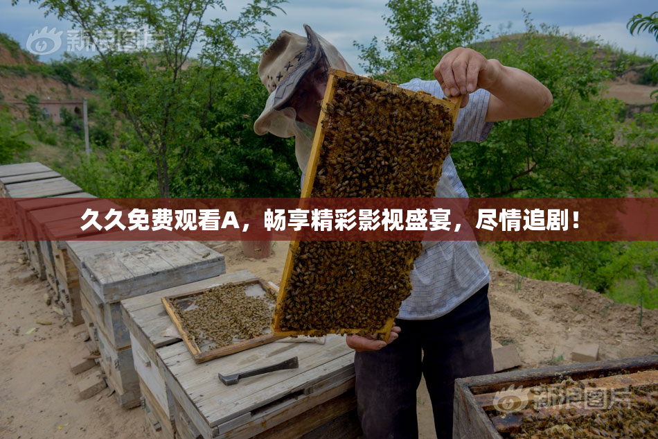 久久免费观看A，畅享精彩影视盛宴，尽情追剧！