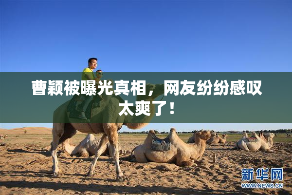 曹颖被曝光真相，网友纷纷感叹太爽了！