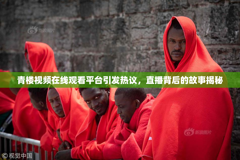 青楼视频在线观看平台引发热议，直播背后的故事揭秘