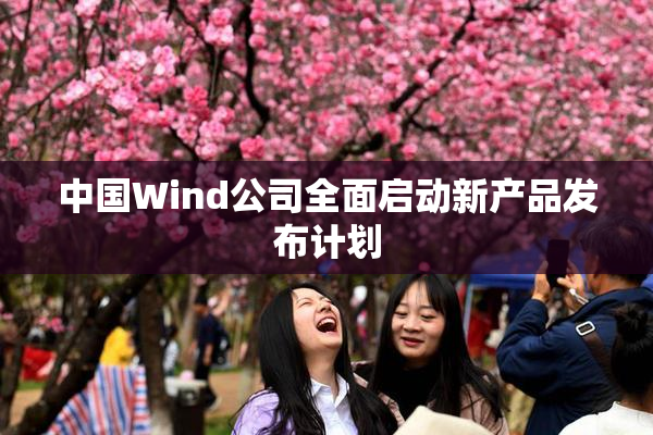 中国Wind公司全面启动新产品发布计划