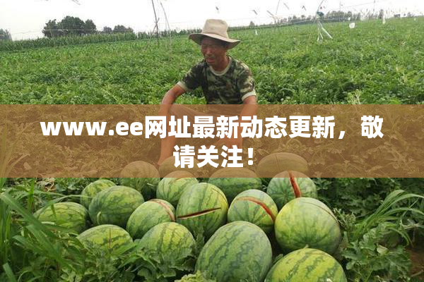 www.ee网址最新动态更新，敬请关注！