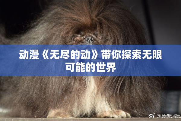动漫《无尽的动》带你探索无限可能的世界
