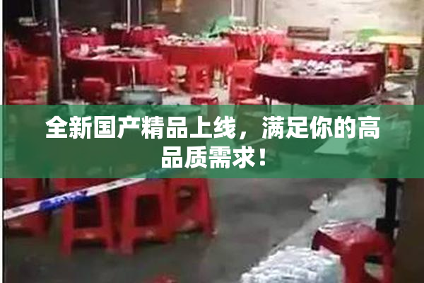 全新国产精品上线，满足你的高品质需求！