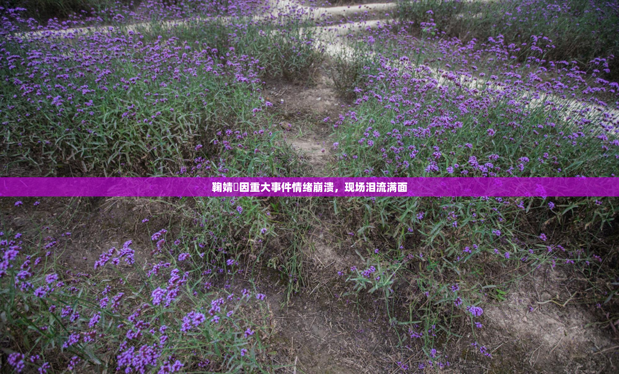 鞠婧祎因重大事件情绪崩溃，现场泪流满面