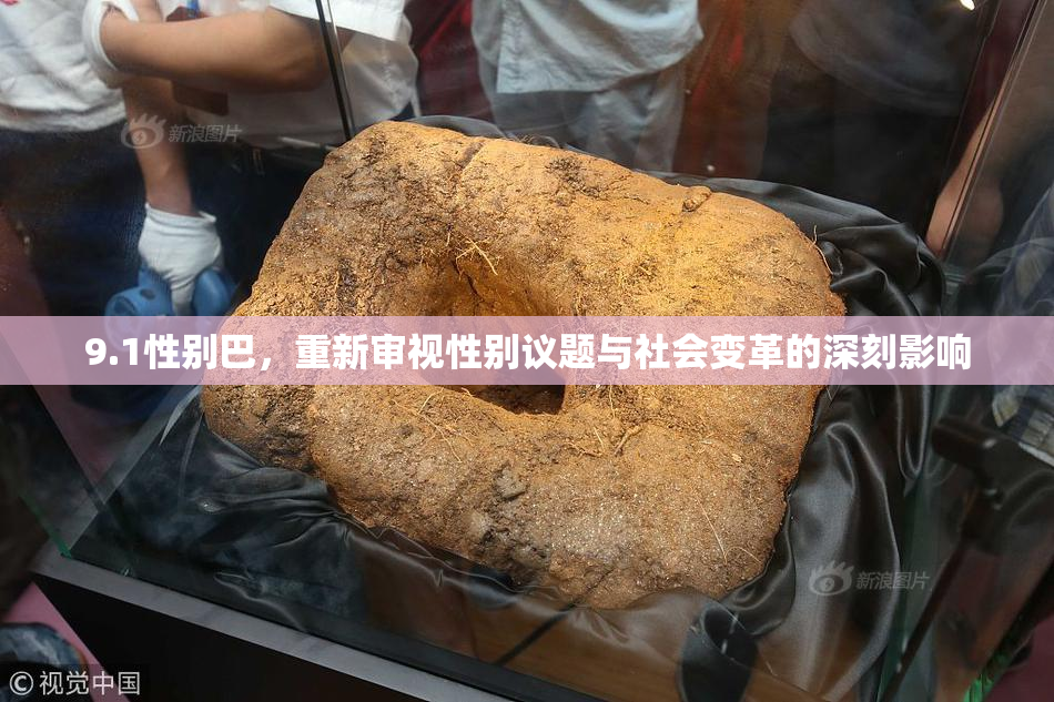 9.1性别巴，重新审视性别议题与社会变革的深刻影响