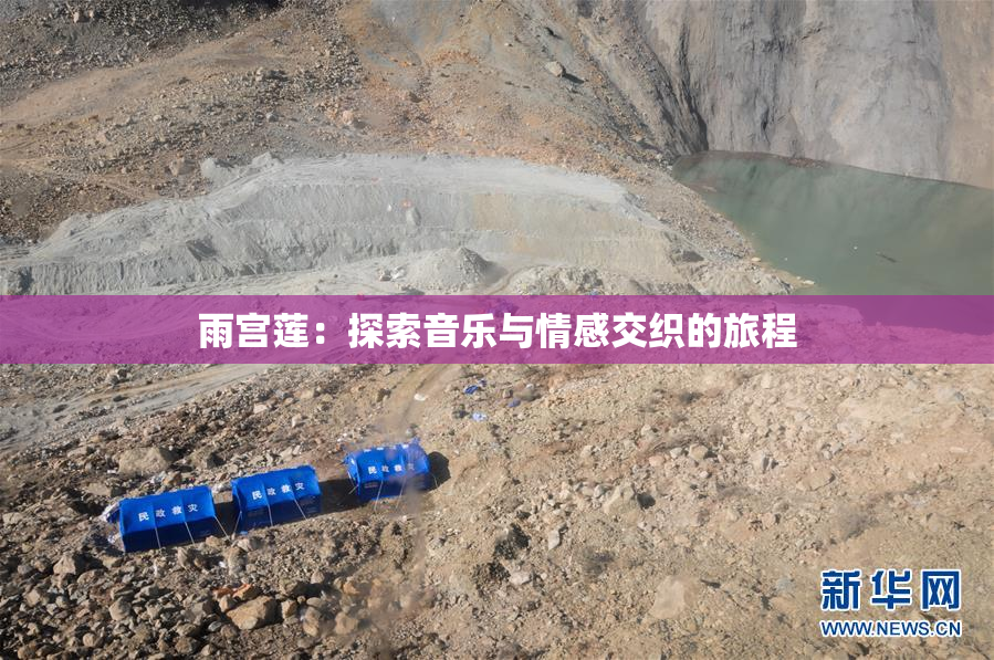 雨宫莲：探索音乐与情感交织的旅程