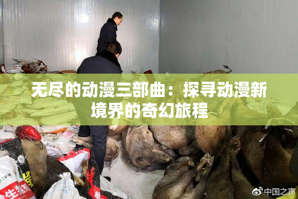 无尽的动漫三部曲：探寻动漫新境界的奇幻旅程