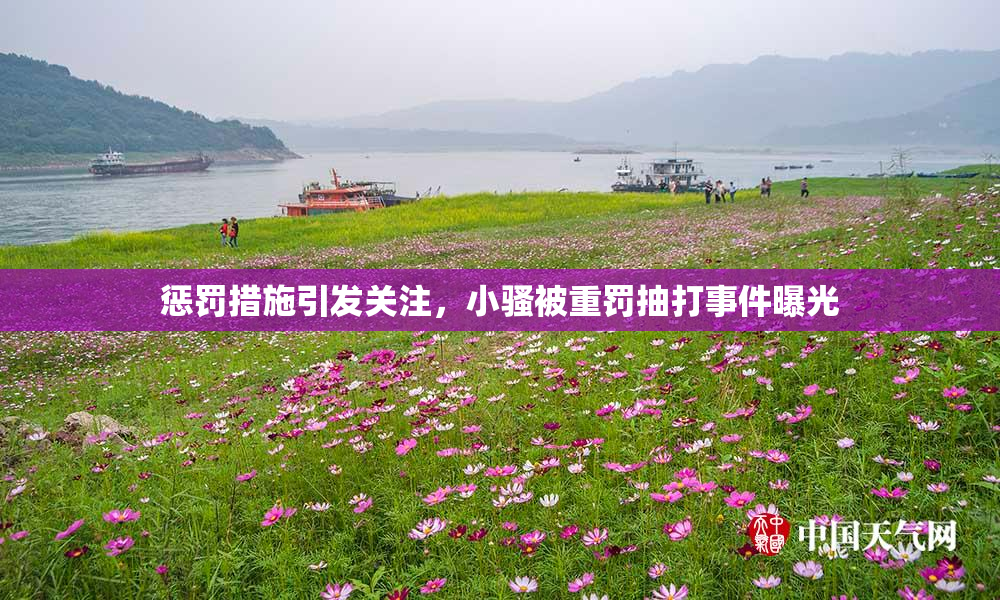 惩罚措施引发关注，小骚被重罚抽打事件曝光