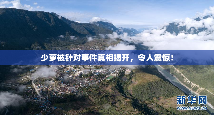 少萝被针对事件真相揭开，令人震惊！