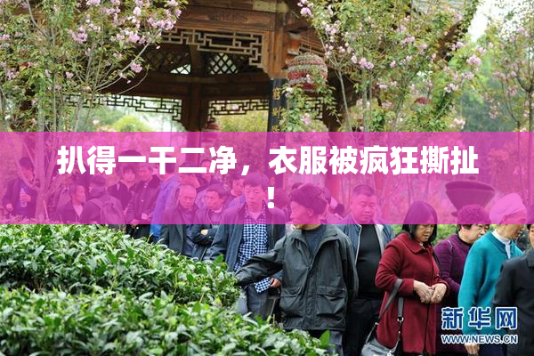 扒得一干二净，衣服被疯狂撕扯！