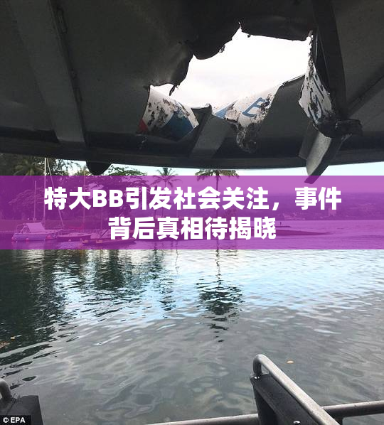 特大BB引发社会关注，事件背后真相待揭晓