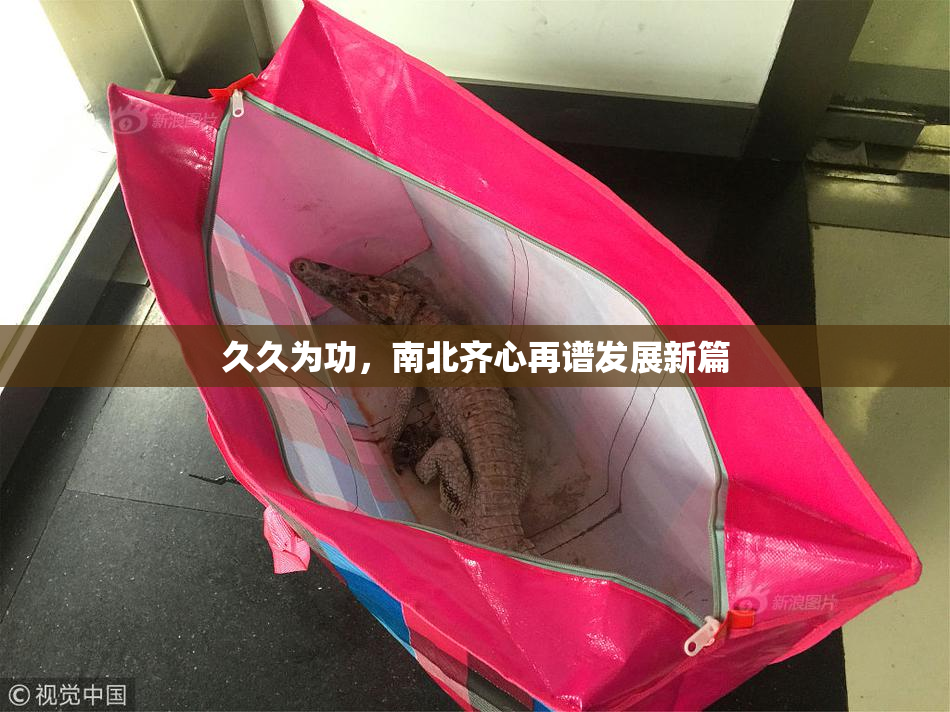 久久为功，南北齐心再谱发展新篇